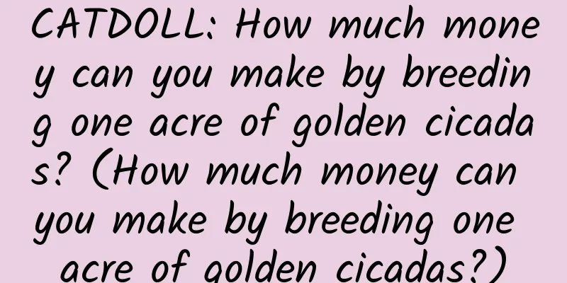 CATDOLL: How much money can you make by breeding one acre of golden cicadas? (How much money can you make by breeding one acre of golden cicadas?)