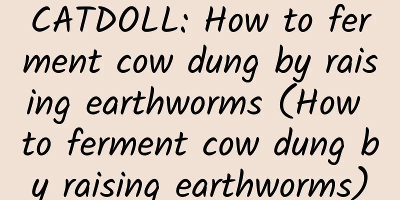 CATDOLL: How to ferment cow dung by raising earthworms (How to ferment cow dung by raising earthworms)