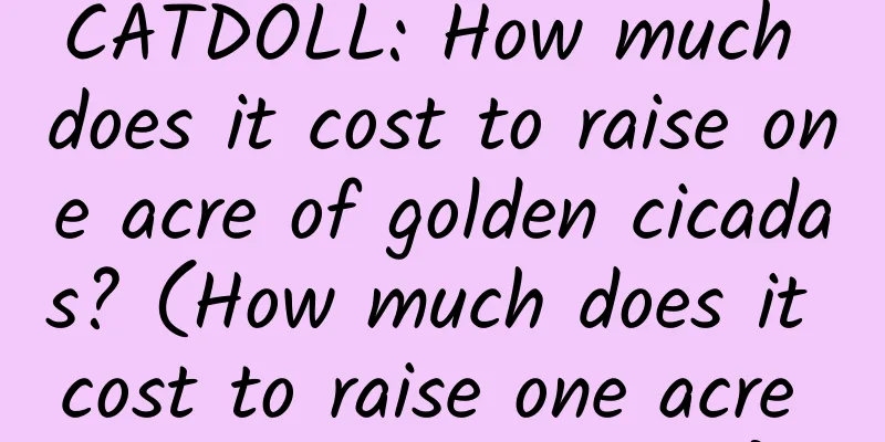CATDOLL: How much does it cost to raise one acre of golden cicadas? (How much does it cost to raise one acre of golden cicadas?)