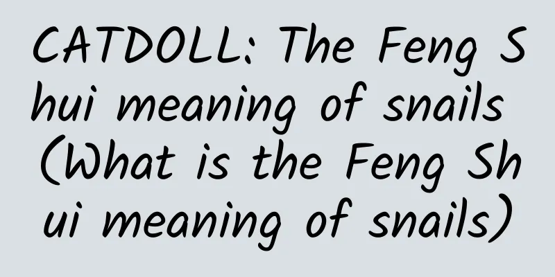 CATDOLL: The Feng Shui meaning of snails (What is the Feng Shui meaning of snails)