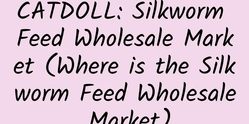 CATDOLL: Silkworm Feed Wholesale Market (Where is the Silkworm Feed Wholesale Market)