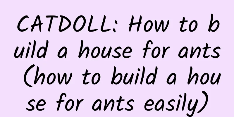 CATDOLL: How to build a house for ants (how to build a house for ants easily)