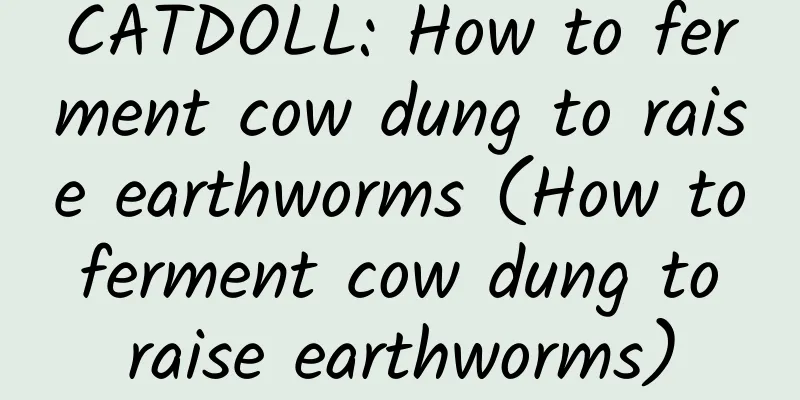 CATDOLL: How to ferment cow dung to raise earthworms (How to ferment cow dung to raise earthworms)