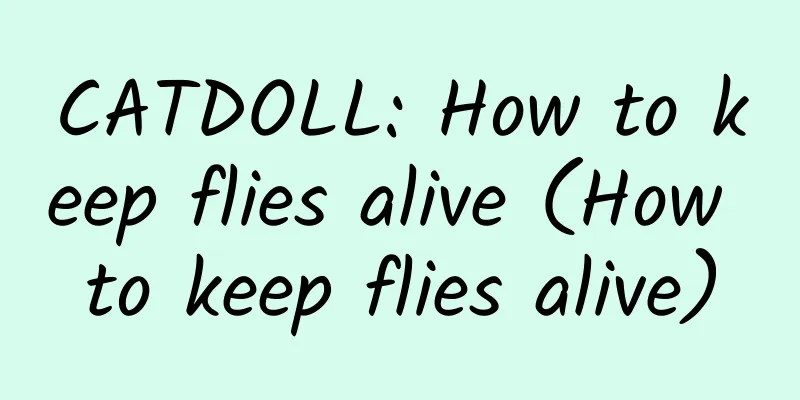CATDOLL: How to keep flies alive (How to keep flies alive)