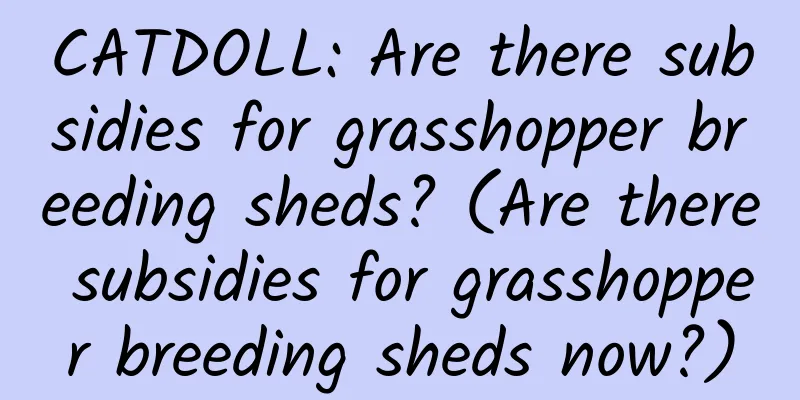 CATDOLL: Are there subsidies for grasshopper breeding sheds? (Are there subsidies for grasshopper breeding sheds now?)