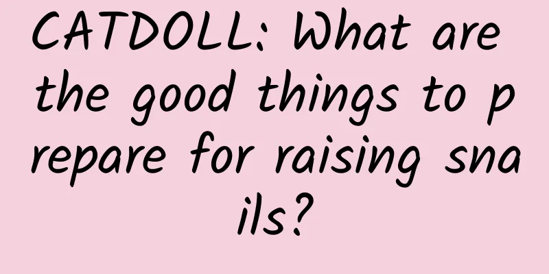 CATDOLL: What are the good things to prepare for raising snails?