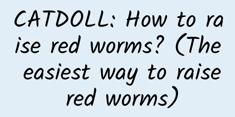 CATDOLL: How to raise red worms? (The easiest way to raise red worms)