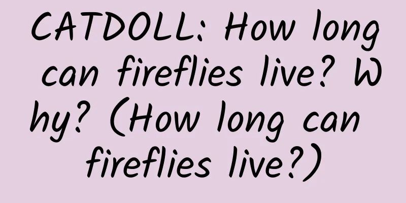 CATDOLL: How long can fireflies live? Why? (How long can fireflies live?)