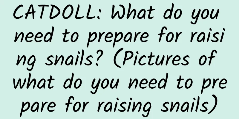 CATDOLL: What do you need to prepare for raising snails? (Pictures of what do you need to prepare for raising snails)