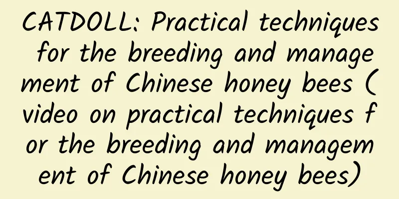 CATDOLL: Practical techniques for the breeding and management of Chinese honey bees (video on practical techniques for the breeding and management of Chinese honey bees)