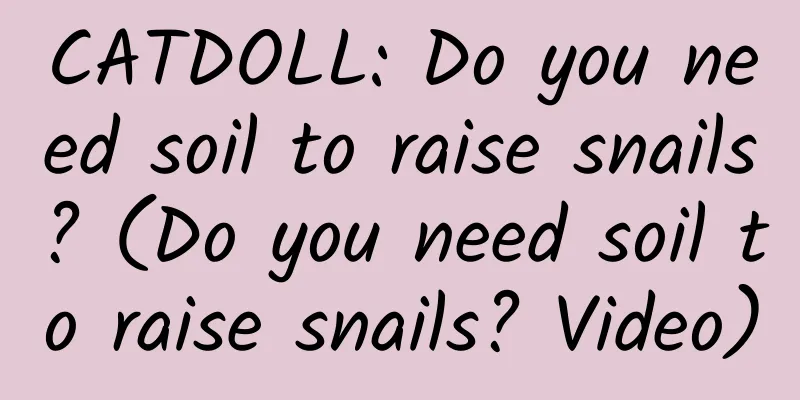 CATDOLL: Do you need soil to raise snails? (Do you need soil to raise snails? Video)
