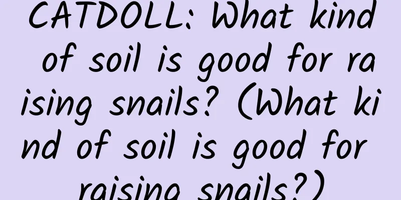 CATDOLL: What kind of soil is good for raising snails? (What kind of soil is good for raising snails?)