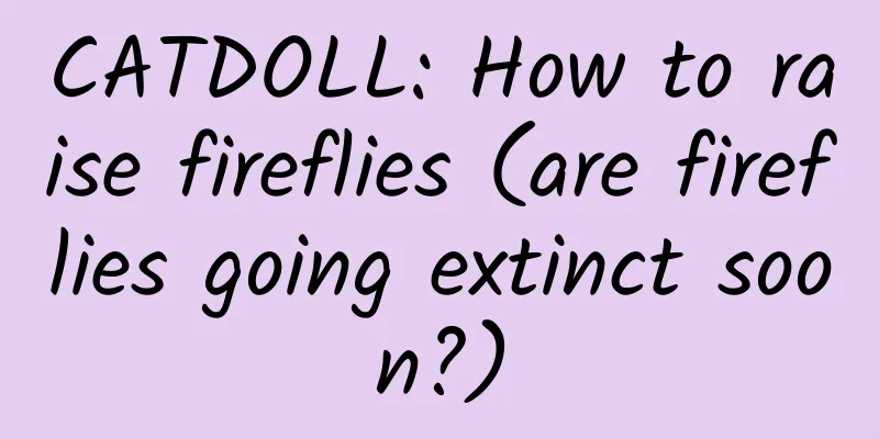 CATDOLL: How to raise fireflies (are fireflies going extinct soon?)