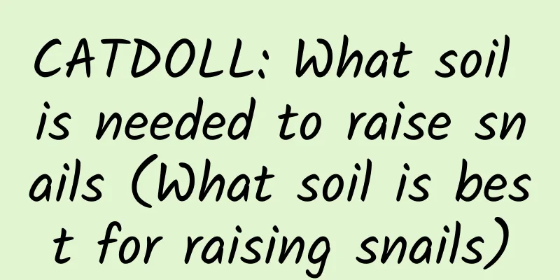 CATDOLL: What soil is needed to raise snails (What soil is best for raising snails)