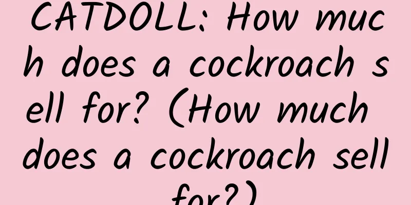 CATDOLL: How much does a cockroach sell for? (How much does a cockroach sell for?)