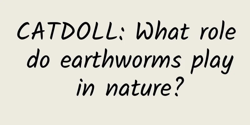 CATDOLL: What role do earthworms play in nature?