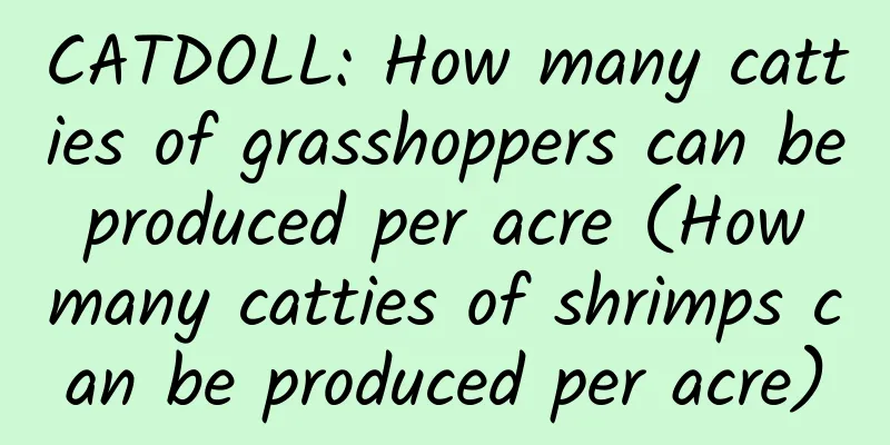 CATDOLL: How many catties of grasshoppers can be produced per acre (How many catties of shrimps can be produced per acre)