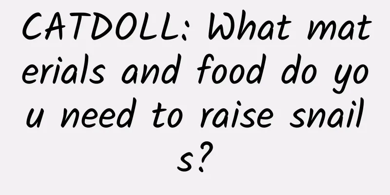 CATDOLL: What materials and food do you need to raise snails?