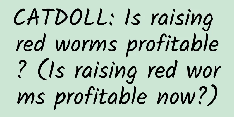 CATDOLL: Is raising red worms profitable? (Is raising red worms profitable now?)