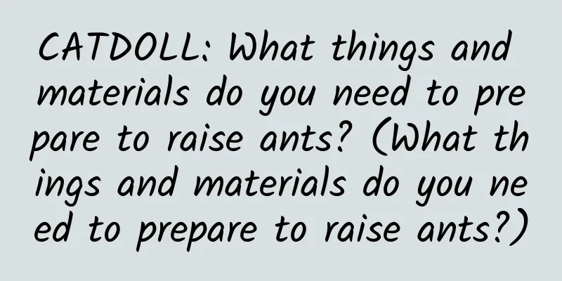 CATDOLL: What things and materials do you need to prepare to raise ants? (What things and materials do you need to prepare to raise ants?)