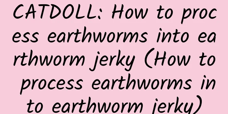 CATDOLL: How to process earthworms into earthworm jerky (How to process earthworms into earthworm jerky)