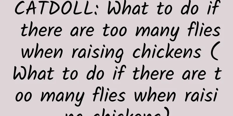CATDOLL: What to do if there are too many flies when raising chickens (What to do if there are too many flies when raising chickens)