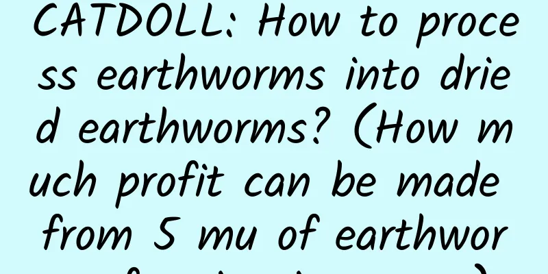 CATDOLL: How to process earthworms into dried earthworms? (How much profit can be made from 5 mu of earthworm farming in a year)