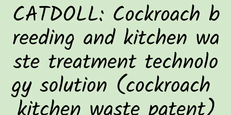 CATDOLL: Cockroach breeding and kitchen waste treatment technology solution (cockroach kitchen waste patent)