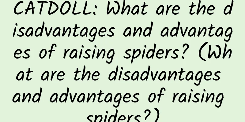 CATDOLL: What are the disadvantages and advantages of raising spiders? (What are the disadvantages and advantages of raising spiders?)