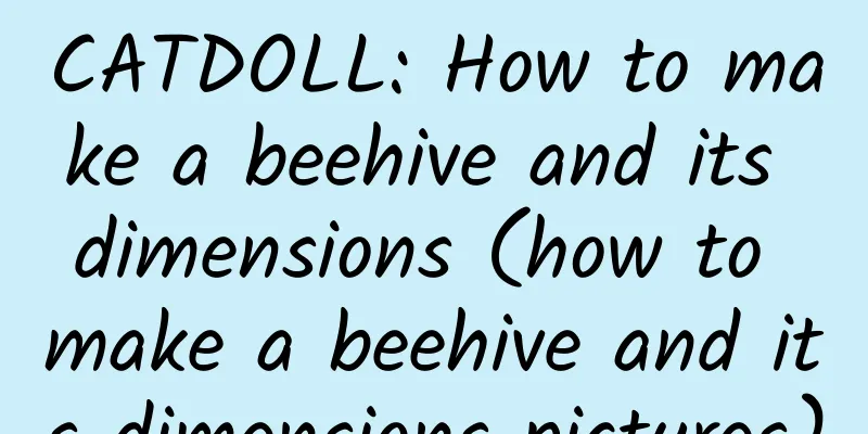 CATDOLL: How to make a beehive and its dimensions (how to make a beehive and its dimensions pictures)
