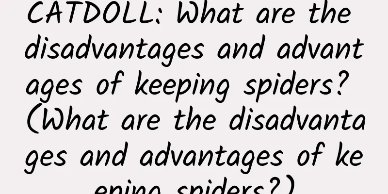 CATDOLL: What are the disadvantages and advantages of keeping spiders? (What are the disadvantages and advantages of keeping spiders?)
