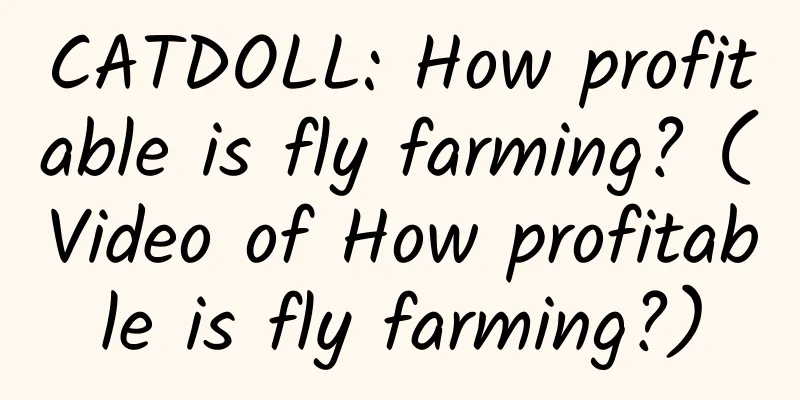 CATDOLL: How profitable is fly farming? (Video of How profitable is fly farming?)