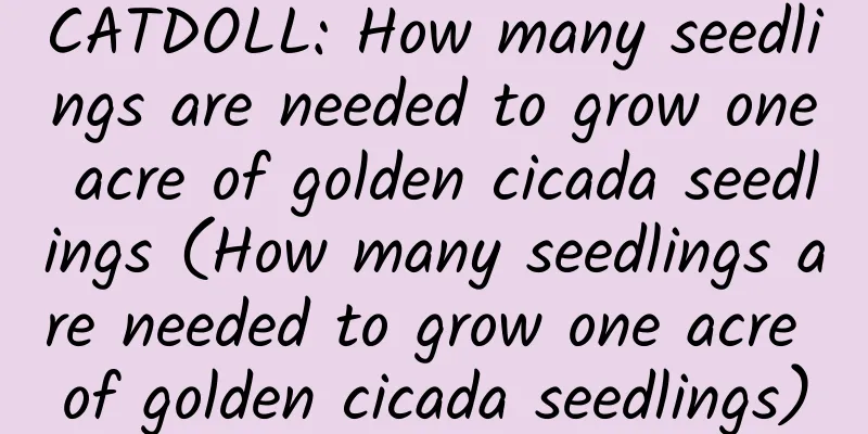 CATDOLL: How many seedlings are needed to grow one acre of golden cicada seedlings (How many seedlings are needed to grow one acre of golden cicada seedlings)
