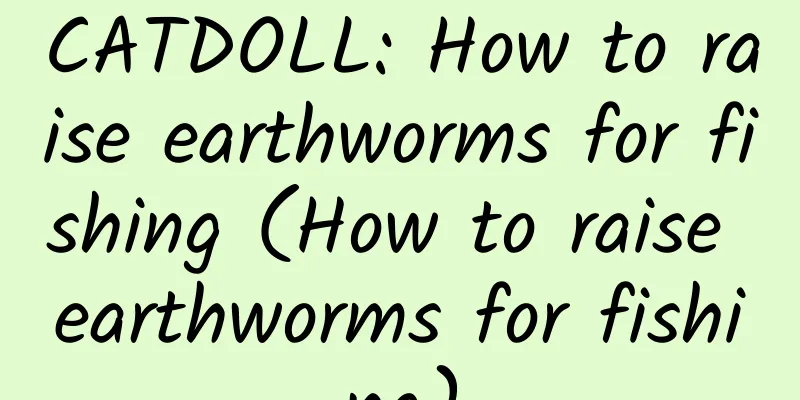 CATDOLL: How to raise earthworms for fishing (How to raise earthworms for fishing)