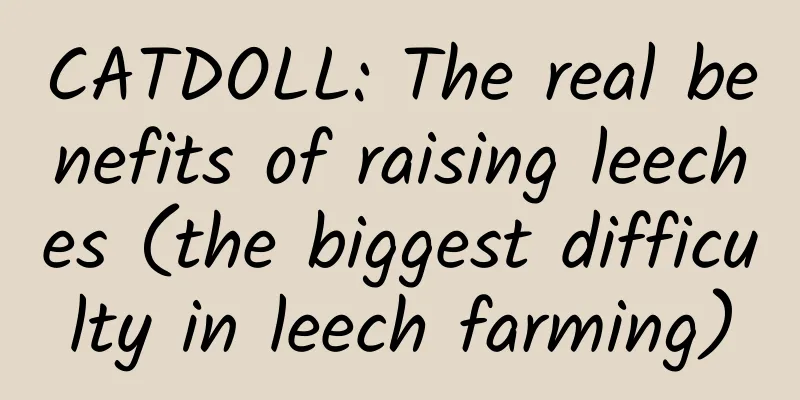 CATDOLL: The real benefits of raising leeches (the biggest difficulty in leech farming)