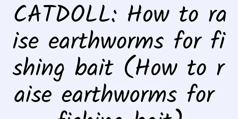 CATDOLL: How to raise earthworms for fishing bait (How to raise earthworms for fishing bait)