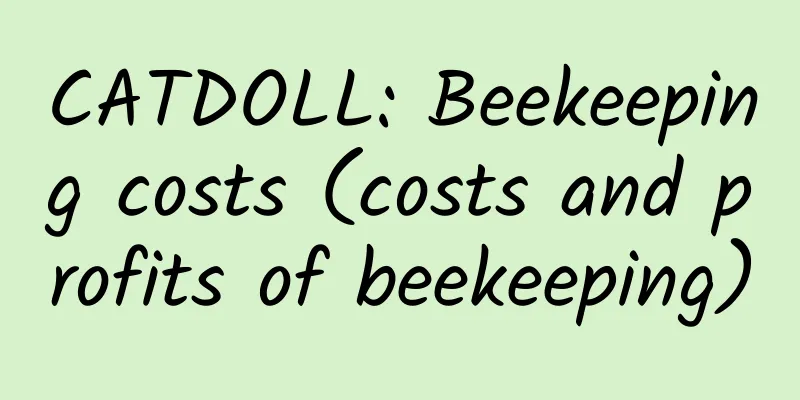 CATDOLL: Beekeeping costs (costs and profits of beekeeping)