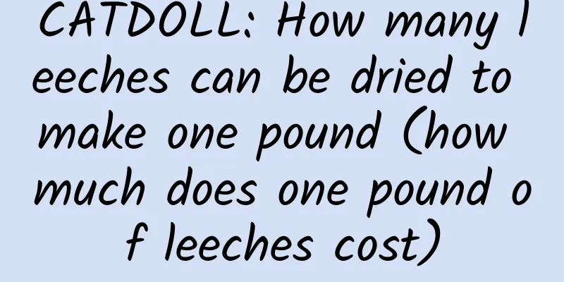 CATDOLL: How many leeches can be dried to make one pound (how much does one pound of leeches cost)