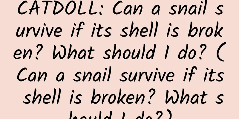 CATDOLL: Can a snail survive if its shell is broken? What should I do? (Can a snail survive if its shell is broken? What should I do?)