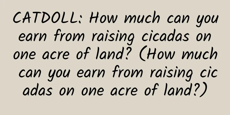 CATDOLL: How much can you earn from raising cicadas on one acre of land? (How much can you earn from raising cicadas on one acre of land?)