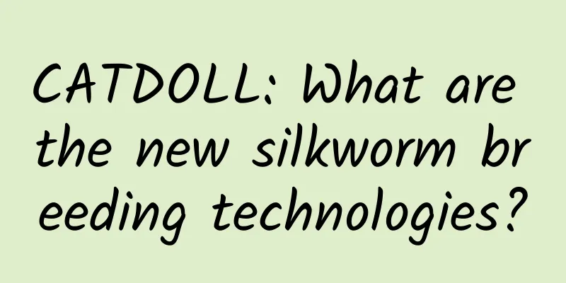 CATDOLL: What are the new silkworm breeding technologies?