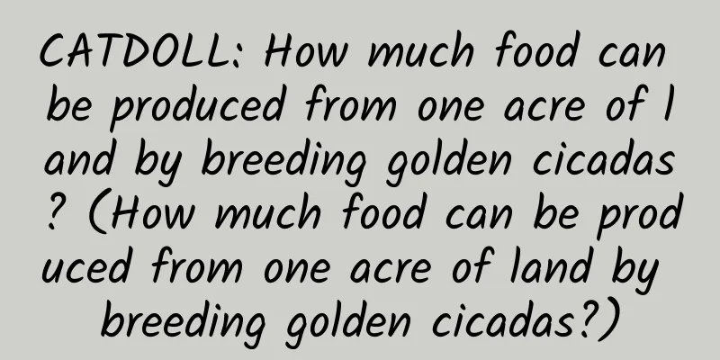 CATDOLL: How much food can be produced from one acre of land by breeding golden cicadas? (How much food can be produced from one acre of land by breeding golden cicadas?)