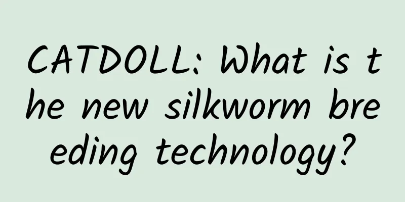 CATDOLL: What is the new silkworm breeding technology?