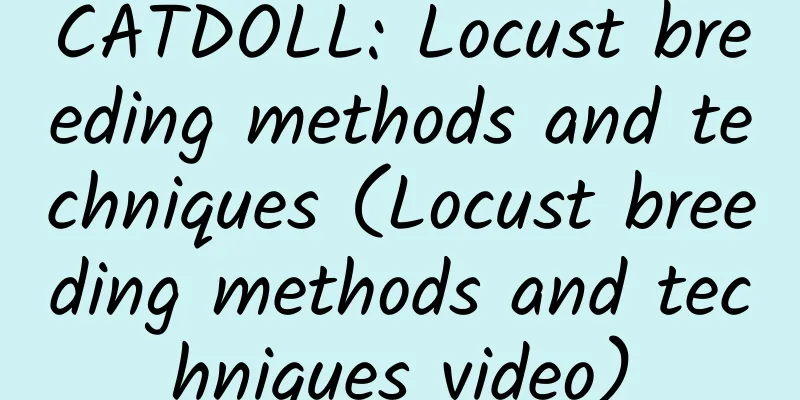 CATDOLL: Locust breeding methods and techniques (Locust breeding methods and techniques video)