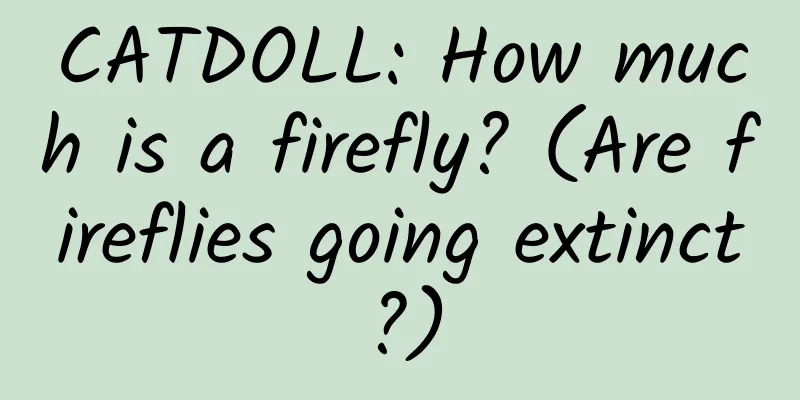 CATDOLL: How much is a firefly? (Are fireflies going extinct?)