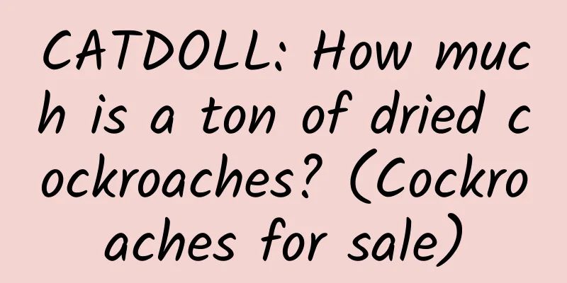 CATDOLL: How much is a ton of dried cockroaches? (Cockroaches for sale)