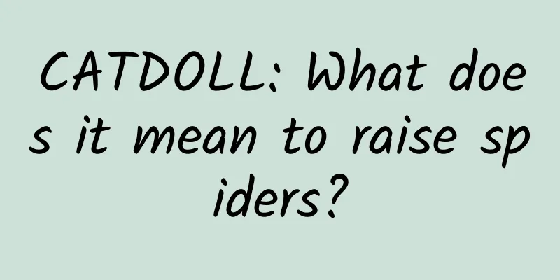 CATDOLL: What does it mean to raise spiders?