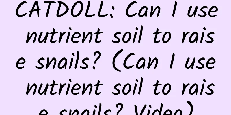 CATDOLL: Can I use nutrient soil to raise snails? (Can I use nutrient soil to raise snails? Video)