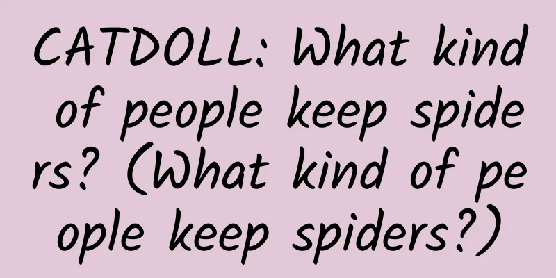 CATDOLL: What kind of people keep spiders? (What kind of people keep spiders?)
