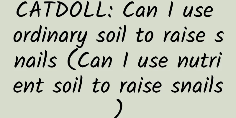 CATDOLL: Can I use ordinary soil to raise snails (Can I use nutrient soil to raise snails)